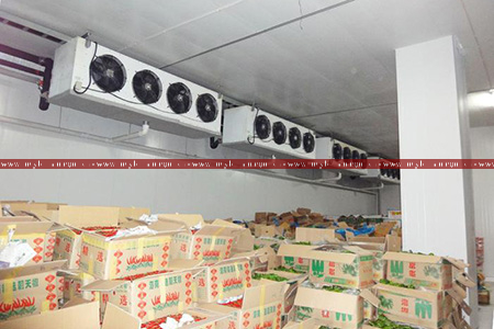 Thanh lý kho lạnh cũ bảo quản rau quả