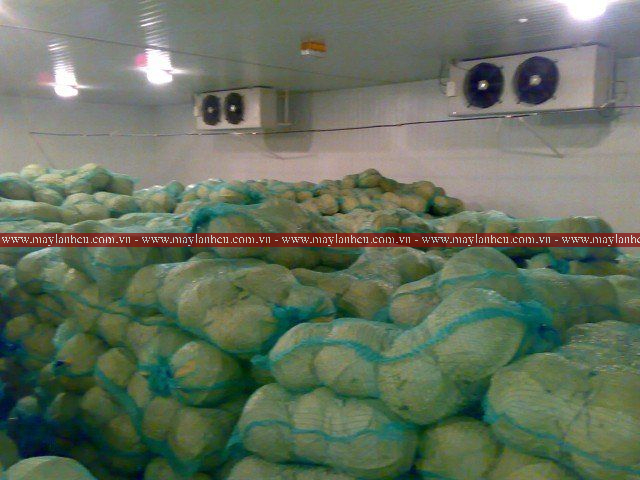 Thanh lý kho lạnh cũ bảo quản rau quả