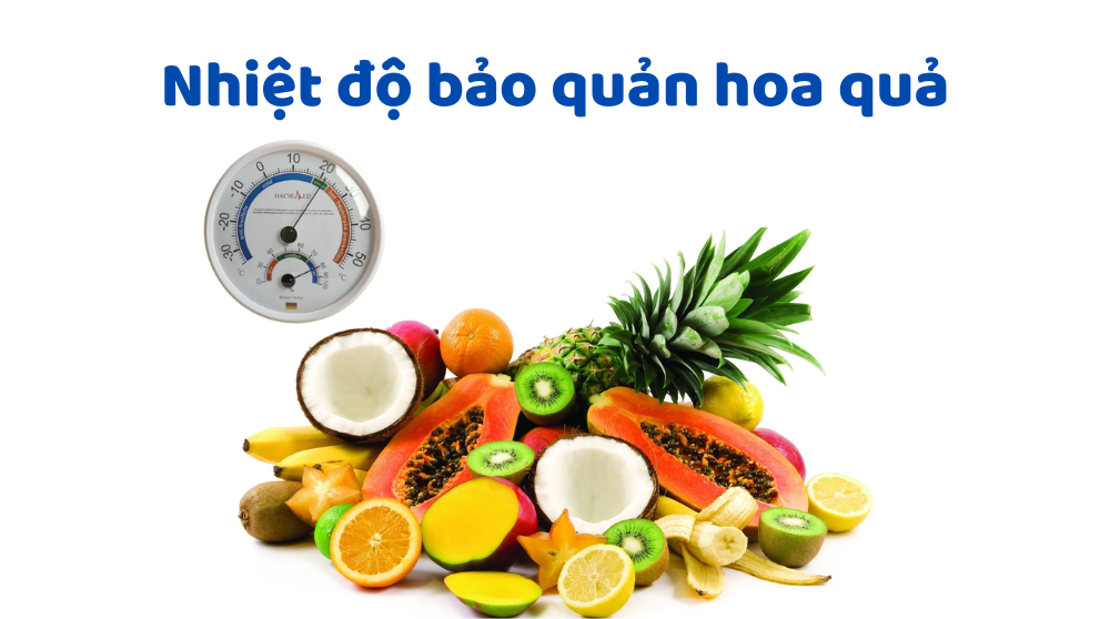 Cách Bảo Quản Thực Phẩm Khi Trời Nồm Ẩm - Nhiệt Độ Bảo Quản Hoa Tươi Quan Trọng Như Thế Nào?