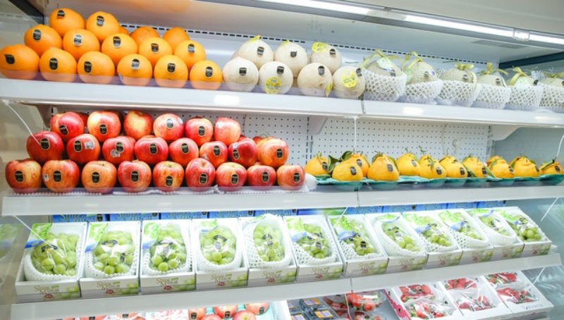 Cách Bảo Quản Thực Phẩm Khi Trời Nồm Ẩm - Nhiệt Độ Bảo Quản Hoa Tươi Quan Trọng Như Thế Nào?