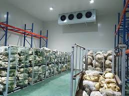 Chuyên thu mua kho lạnh cũ, thiết bị, tấm panel, vách cách nhiệt cũ giá cao