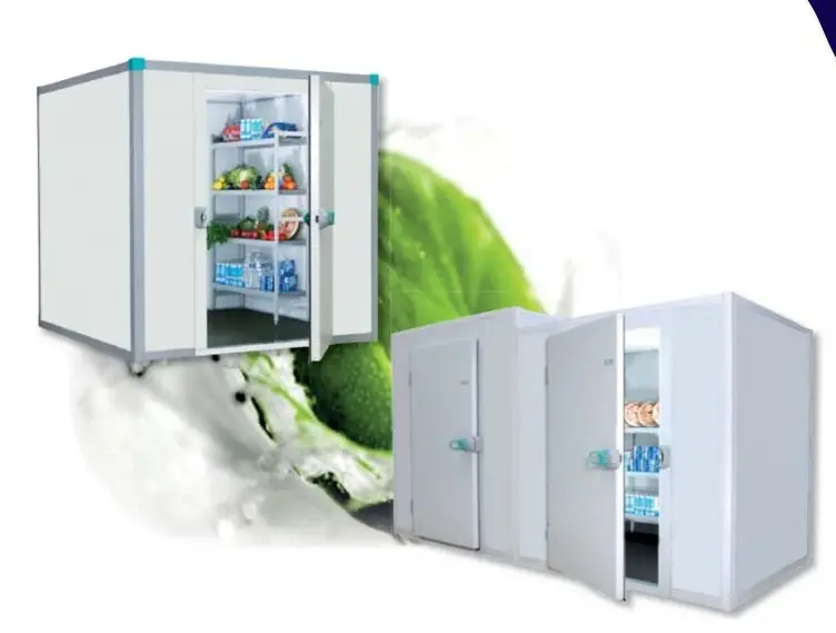 Kho Lạnh 20 Khối: Xu Hướng, Lợi Ích Kinh Nghiệm Đầu Tư Hiệu Quả