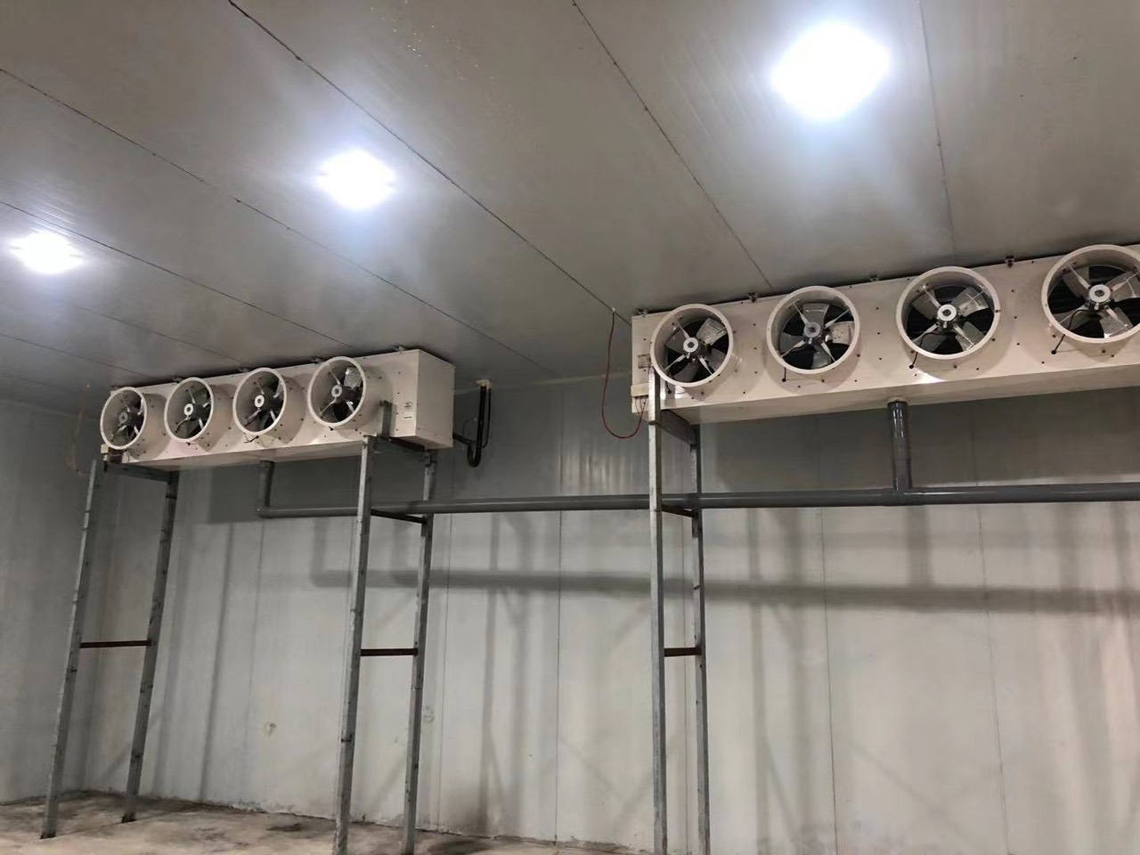 Kinh Nghiệm Mua Kho Đông Lạnh Cũ: Tiết Kiệm An Toàn