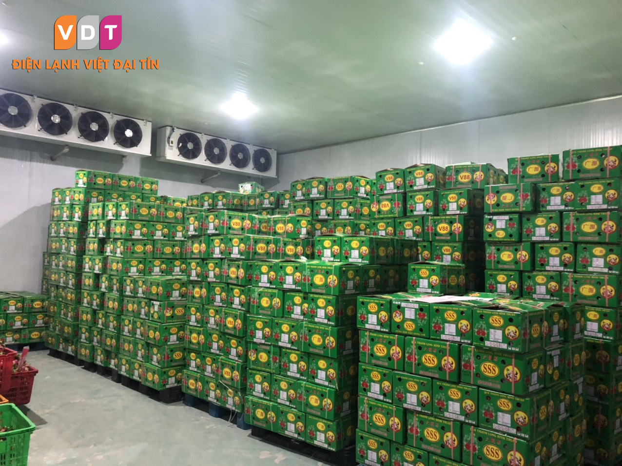 Làm kho lạnh hoa quả - Giải pháp tối ưu cho bảo quản trái cây tươi ngon lâu dài