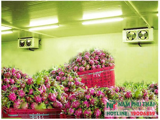 Làm kho lạnh hoa quả - Giải pháp tối ưu cho bảo quản trái cây tươi ngon lâu dài