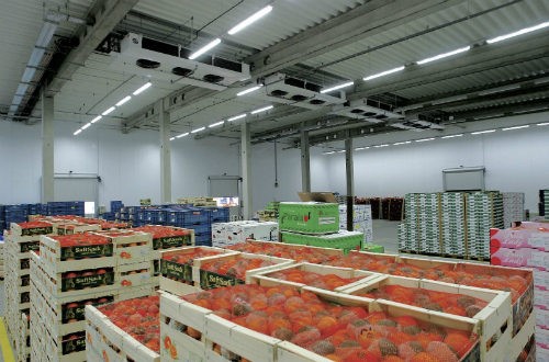Làm kho lạnh hoa quả - Giải pháp tối ưu cho bảo quản trái cây tươi ngon lâu dài