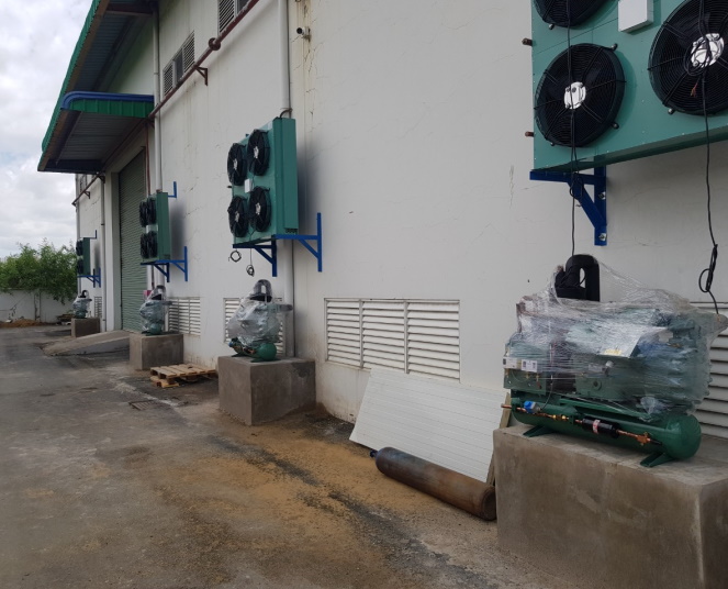 Lựa chọn kho lạnh mini cũ phù hợp với nhu cầu