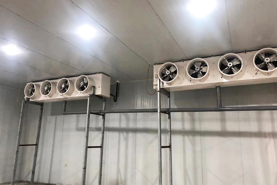 Thanh lý kho đông lạnh – Giải pháp tối ưu cho doanh nghiệp cần dọn dẹp, nâng cấp thiết bị
