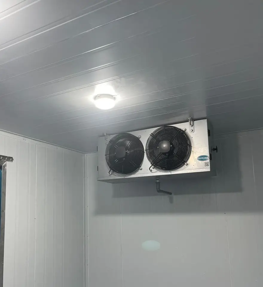 Kho lạnh trái cây nhập khẩu - Giải pháp bảo quản tối ưu giữ trọn vị tươi ngon