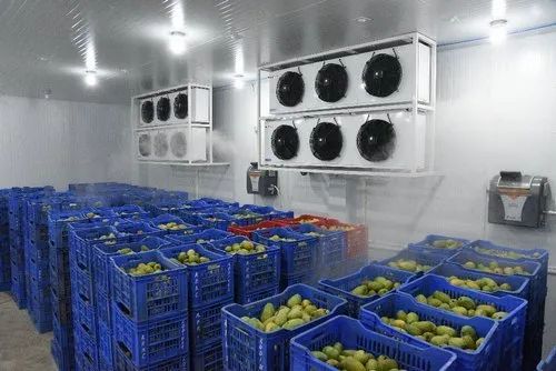 Thiết Kế Kho Lạnh Bảo Quản Thực Phẩm Hiệu Quả
