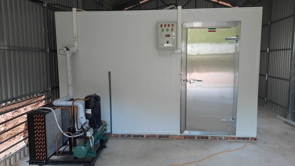 Báo giá kho lạnh - Tìm hiểu chi tiết và cập nhật mới nhất cho mọi nhu cầu lưu trữ