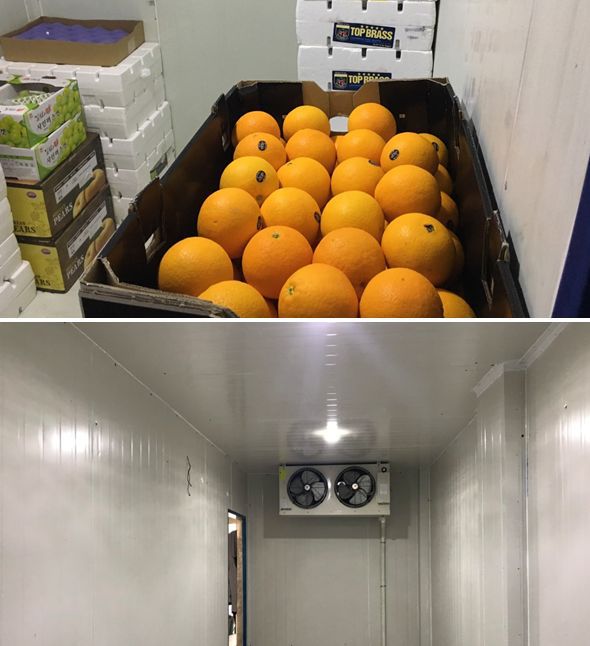 Dịch Vụ Thanh Lý Kho Lạnh Bảo Quản Trái Cây Chuyên Nghiệp