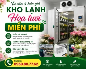 Lắp Đặt Kho Lạnh Bảo Quản Hoa Tươi