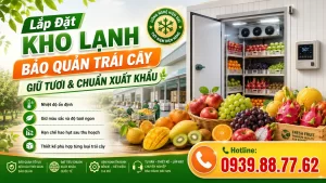 Lắp Đặt Kho Lạnh Bảo Quản Trái Cây